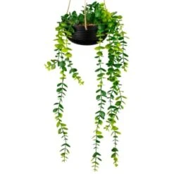 B&M Hanging Trailing Plant In Ceramic Pot