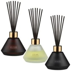 B&M Spa Reed Diffuser 100ml - Unwind -Home Haven Shop 395418 395419 395423 100ml spa reed diffuser group 2